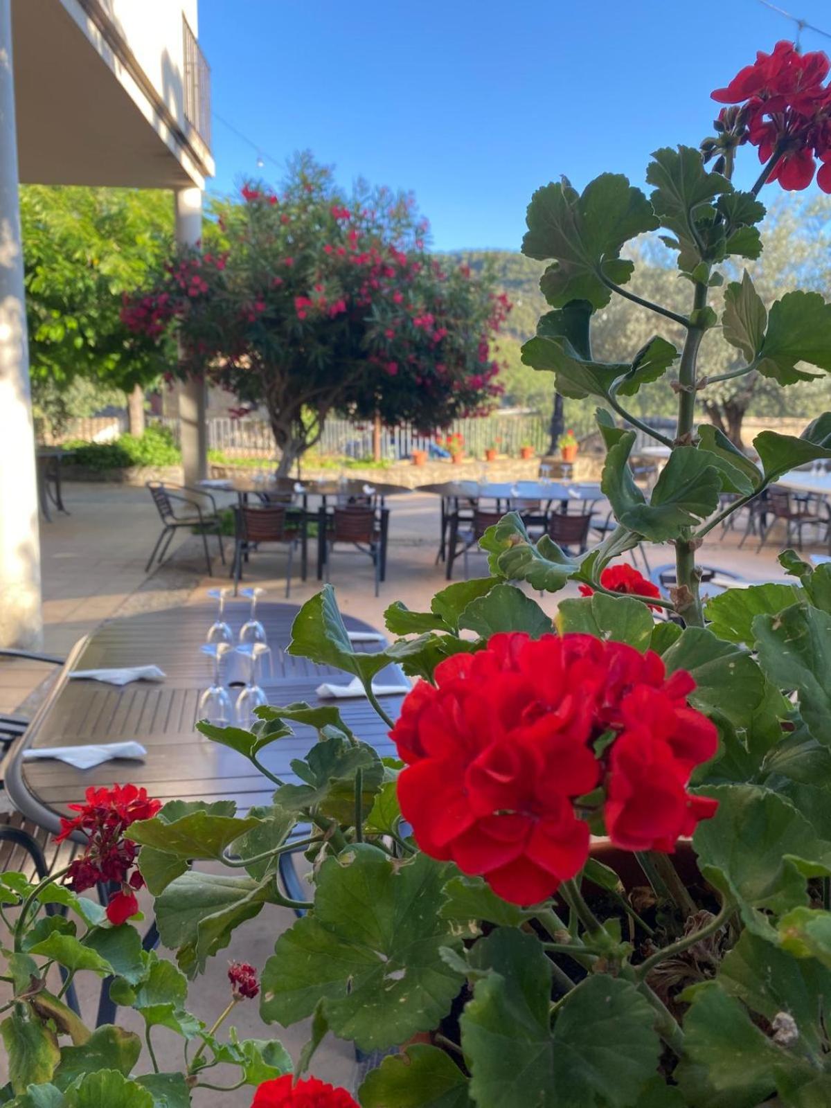 Hotel Guara Inluka Las Almunias Eksteriør billede